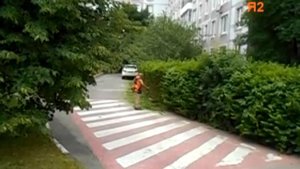 Обрезка кустов триммером