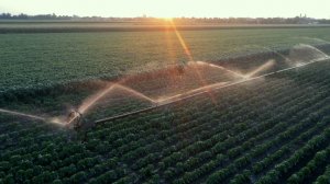 Цена на водяной насос Гидротаран Рогозина ГТ-.170.