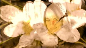 Алла Пугачева, "Белые Цветы", cover