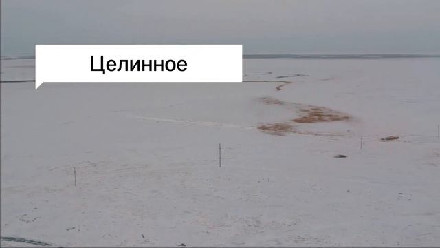 Свиньи как бизнес 🐷 смотреть онлайн