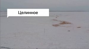 Свиньи как бизнес 🐷