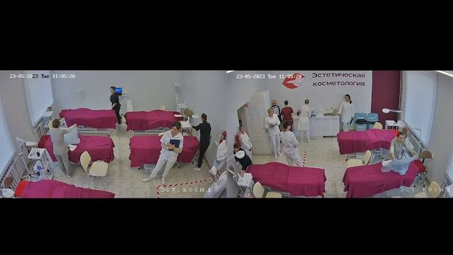 Демонстрационный экзамен по компетенции "Эстетическая косметология"