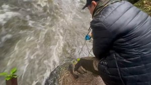 Волосы Встали Дыбом от этой находки на Поисковый магнит, заработали денег