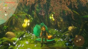 ЗАГАДКИ КОРОКОВ И ГОНКА НА КОТИКАХ - 24 Часть Легенда о Зельде The Legend of Zelda