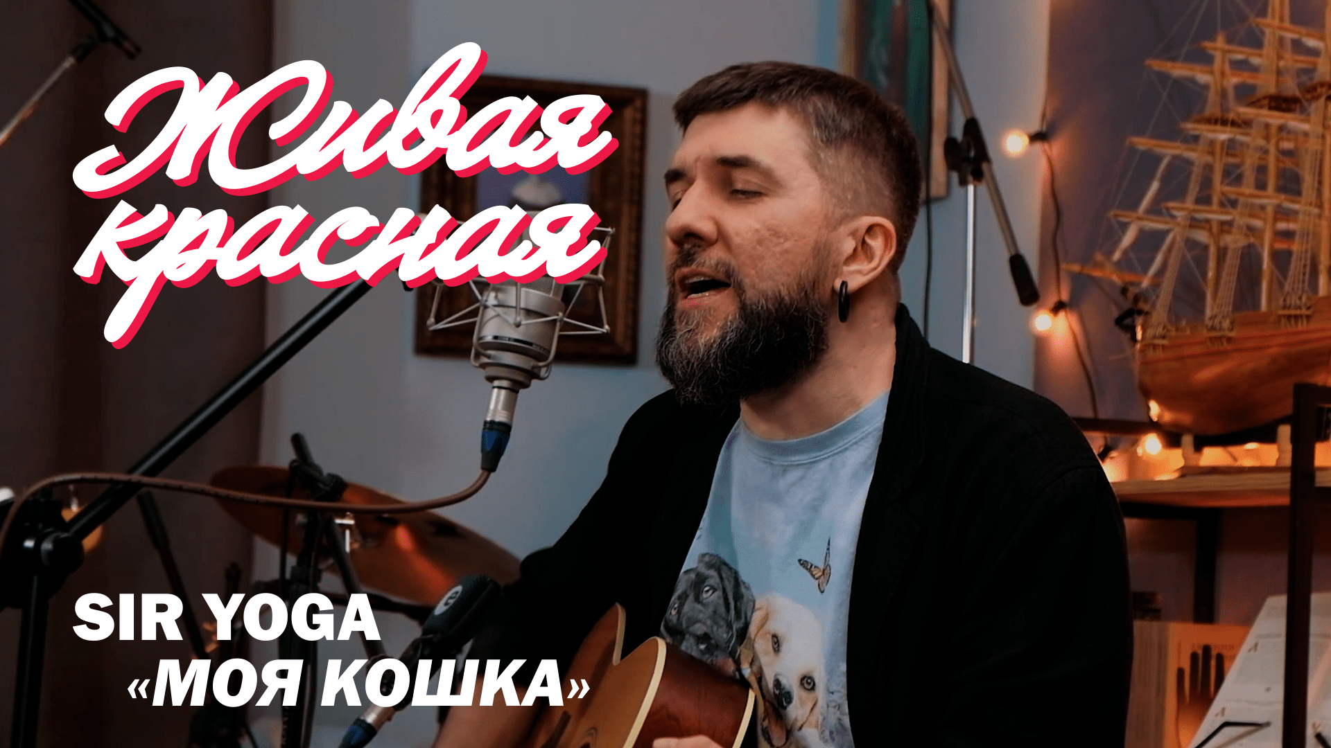 ЖИВАЯ КРАСНАЯ | Sir Yoga «Моя кошка»