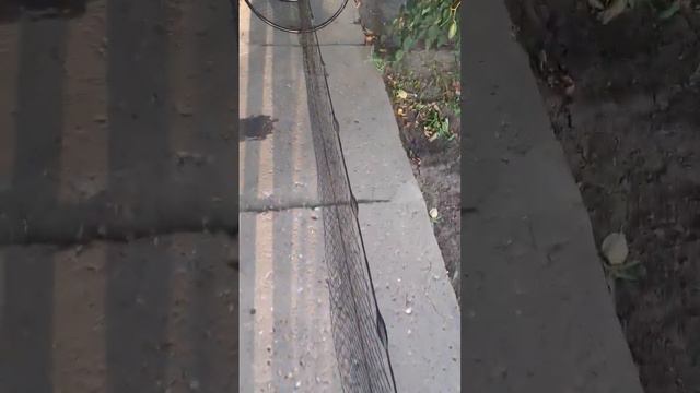 Мережа. смотреть онлайн