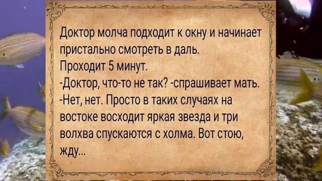 Жена разрешила мужу развлекаться с соседкой...ВЕСЕЛЫЕ АНЕКДОТЫ #анекдот #сборниканекдотов #шутки