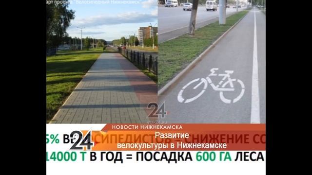 Нижнекамец предложил экономичный способ улучшения экологии города смотреть онлайн