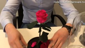 Вечная роза в колбе - обзор