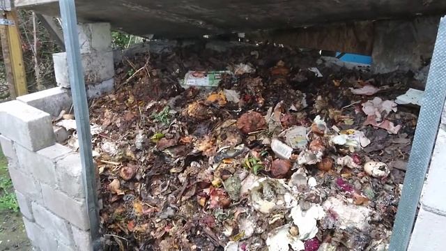 276. Калифорнийские черви !, как не надо держать. смотреть онлайн