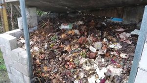 276. Калифорнийские черви !, как не надо держать.