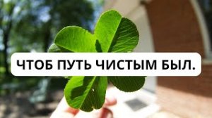 ЧТОБ ПУТЬ ЧИСТЫМ БЫЛ.
