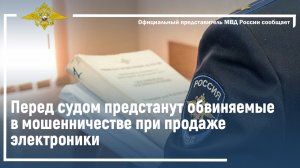 Ирина Волк: Перед судом предстанут обвиняемые в мошенничестве при продаже электроники
