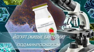 Йогурт под микроскопом - Живые бактерии в Actimel