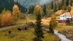 Премьера песни.С тобой вдвоем.Алена Росс