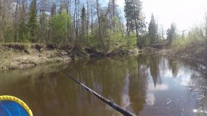 КРУТО ПОРЫБАЧИЛ! Рыбалка Весной на Малой Реке. ГОЛАВЛЬ, ПЛОТВА, ЕЛЕЦ. С  Поплавком в Мае. УХА.