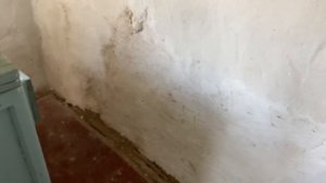 Купила заброшенную дачу. Делаю ремон. Комната почти готова. Очень много дел. #дача