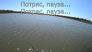 Ловля карпа и карася спиннингом на мормышку первые шаги (мормышинг)