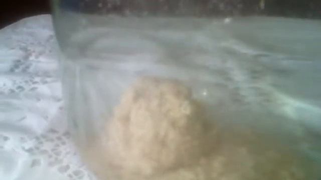 прикормочные шары от PROplankton смотреть онлайн