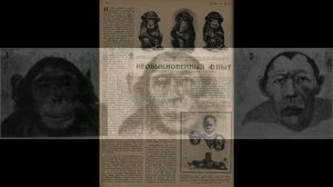 ШОК! Чем закончился ЧУДОВИЩНЫЙ ЭКСПЕРИМЕНТ по скрещиванию человека с приматом.