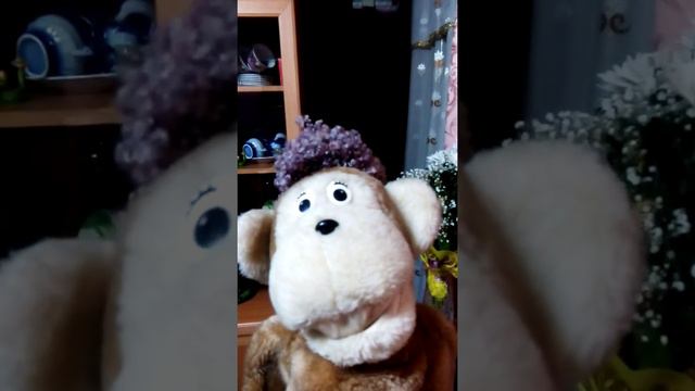 Плюща поющий