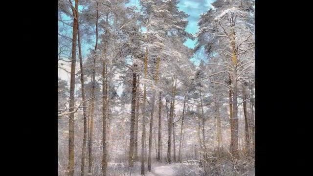 Серебро и Золото Зимы фото М Новикова муз Terry Oldfield смотреть онлайн