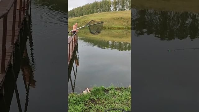 пруд Роща, с. Крещенка, Хлевинский район