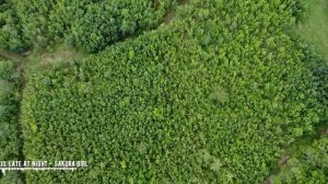 КРЫМ - 1 ЧАС С ВОЗДУХА. Самые красивые места в КРЫМУ. Топ-20 фоновых треков для ваших видео