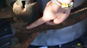 То, что мы НЕ пьем. Чайная смола пуэра (чагао) и сырье для чайных пакетиков.