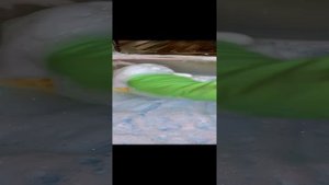 Раковина на кухне🧽🫧