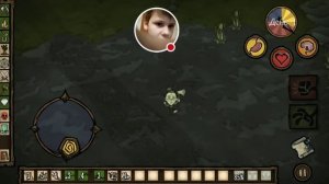 Стрим игры "Dont Starve".