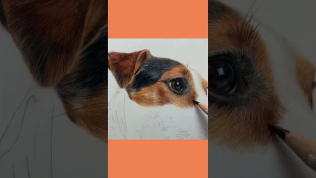 Simple techniques, so even beginners can create beautifully realistic drawings🥰 #bonnysnowdonacadem