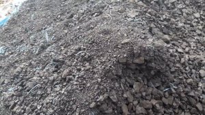 балахтинский уголь после двух зим хранения