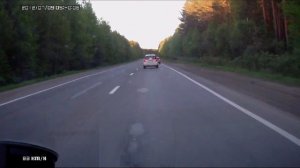 Лось перебегает дорогу перед автомобилем