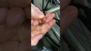Снятие/установка кликбокса на sram s7 и подобных втулках