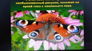 Леса и луга нашей Родины