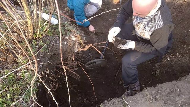 Шурф перстень и ... смотреть онлайн