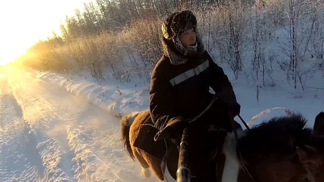 Поездка за табуном лошадей на коне. Рассказываю как ухаживать за конем, Пегас мой друг. смотреть онлайн