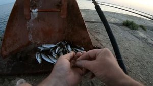 КРУПНАЯ СТАВРИДА ЗА СТАВРИДОЙ НА ПОПЛАВОК С МОРМЫШКОЙ! ТАКАЯ РЫБАЛКА БЫВАЕТ ТОЛЬКО РАЗ В ГОДУ!