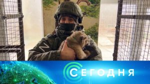 «Сегодня»: 16 января 2023 года. 08:00 | Выпуск новостей | Новости НТВ