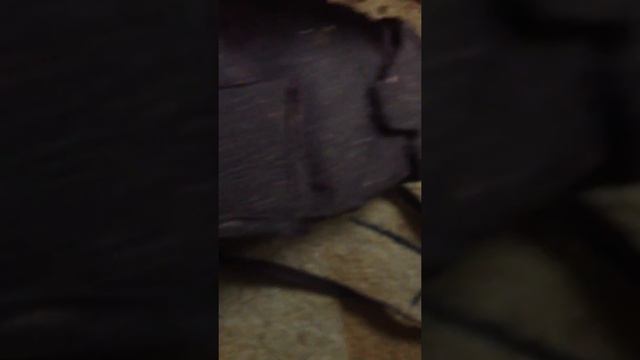 Качественная обувь