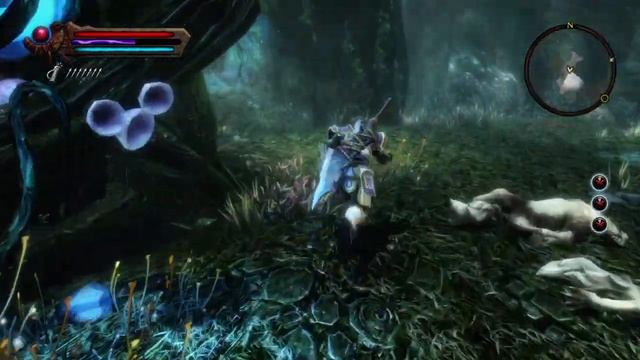 Очистить амулет. Око Аммана. Сил. Kingdoms of Amalur: Re-Reckoning смотреть онлайн