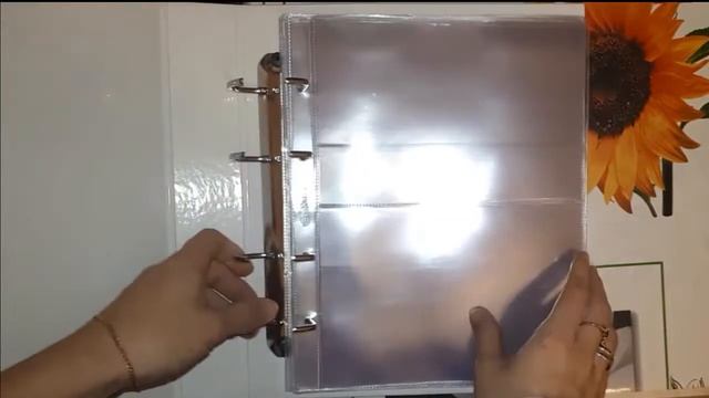 ОНЛАЙН ТРЕЙД.РУ Альбом СОМС АВ-Л-БМ-ЛБО для бон, с листами. #2723009 смотреть онлайн