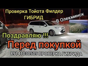 Правильная ПРОВЕРКА перед покупкой ГИБРИДа 89141030505
