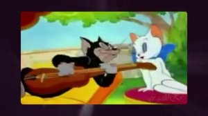 Песня из том и Джери