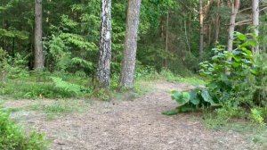 Читаем книги | Груффало