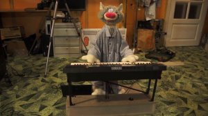 робокот клавишник