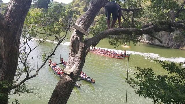 Maori wakas near Haruru Falls, Bay of Islands, New Zealand смотреть онлайн