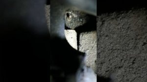 Мерседес вито 639.замена свечей накала
