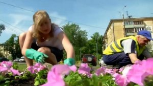 17531 Рабочий зелёного хозяйства